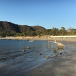 禁じ手:家庭でクリティカル・シンキングを使うという猛者のために・・・クリシン講師より贈る言葉