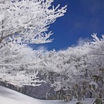 予想外の評価の活かし方・・・打ちひしがれ、そして、自分の枠を超える機会